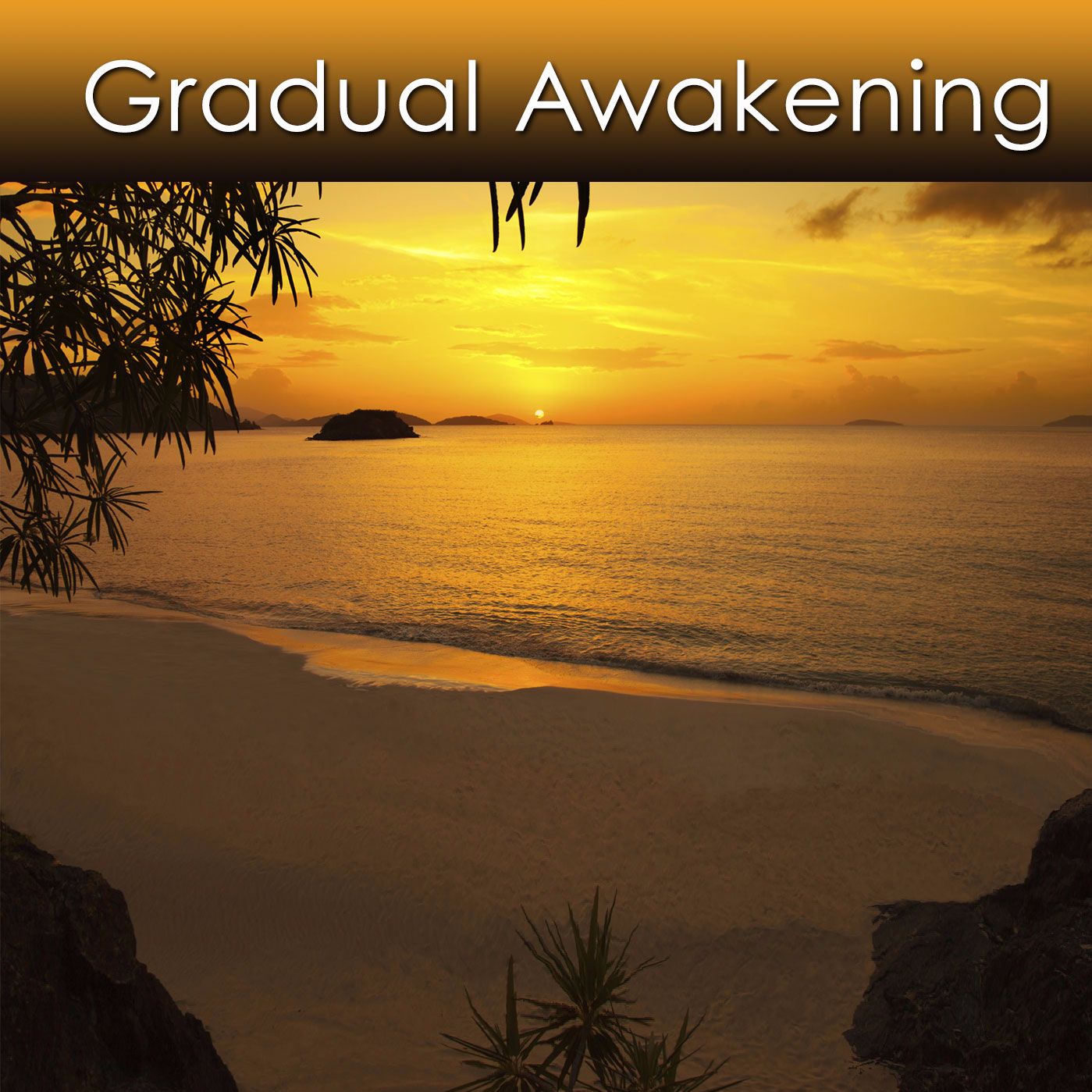 Gradual Awakening