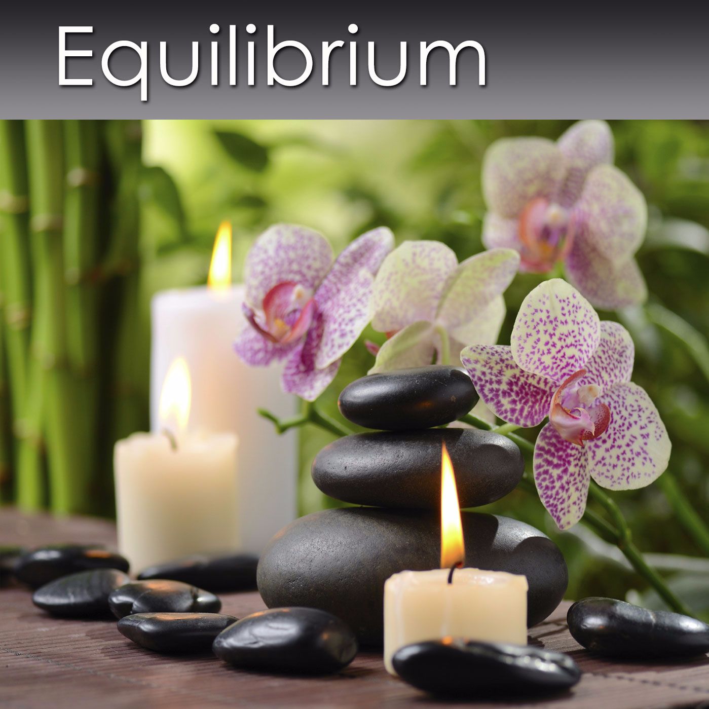 Equilibrium