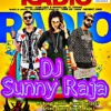 Radio Feat. Brown Gal, King Kazi | New DJ Songs 2017" DJ Sunny Raja Nagpur, DJ Harish Nagpur