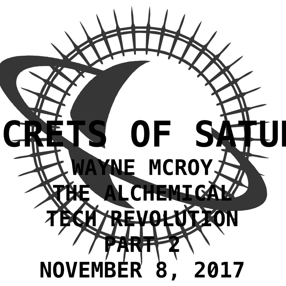 Episode 33 - Wayne McRoy - The Alchemical Tech Revolution Part 2