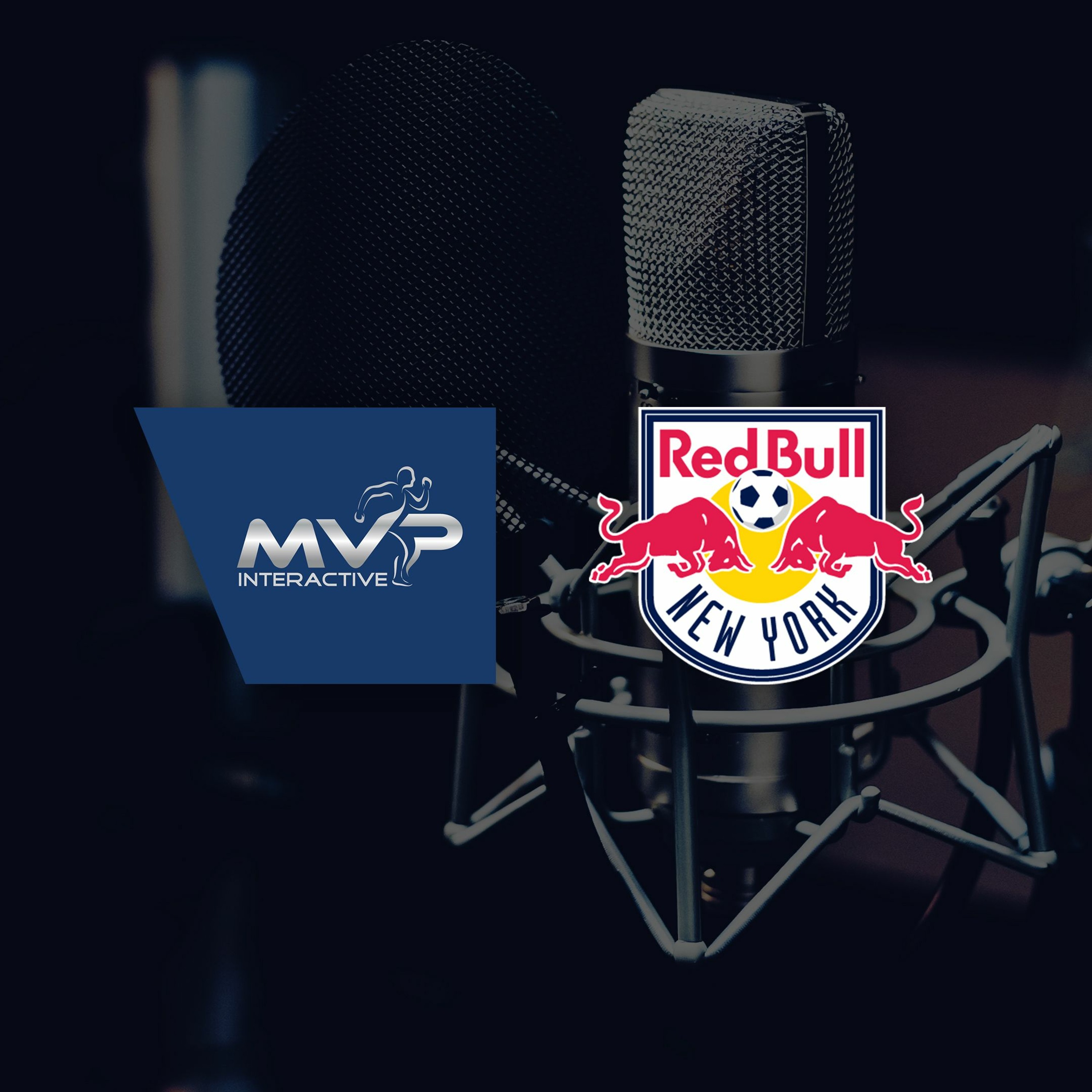 Fan experience with the NY Red Bulls