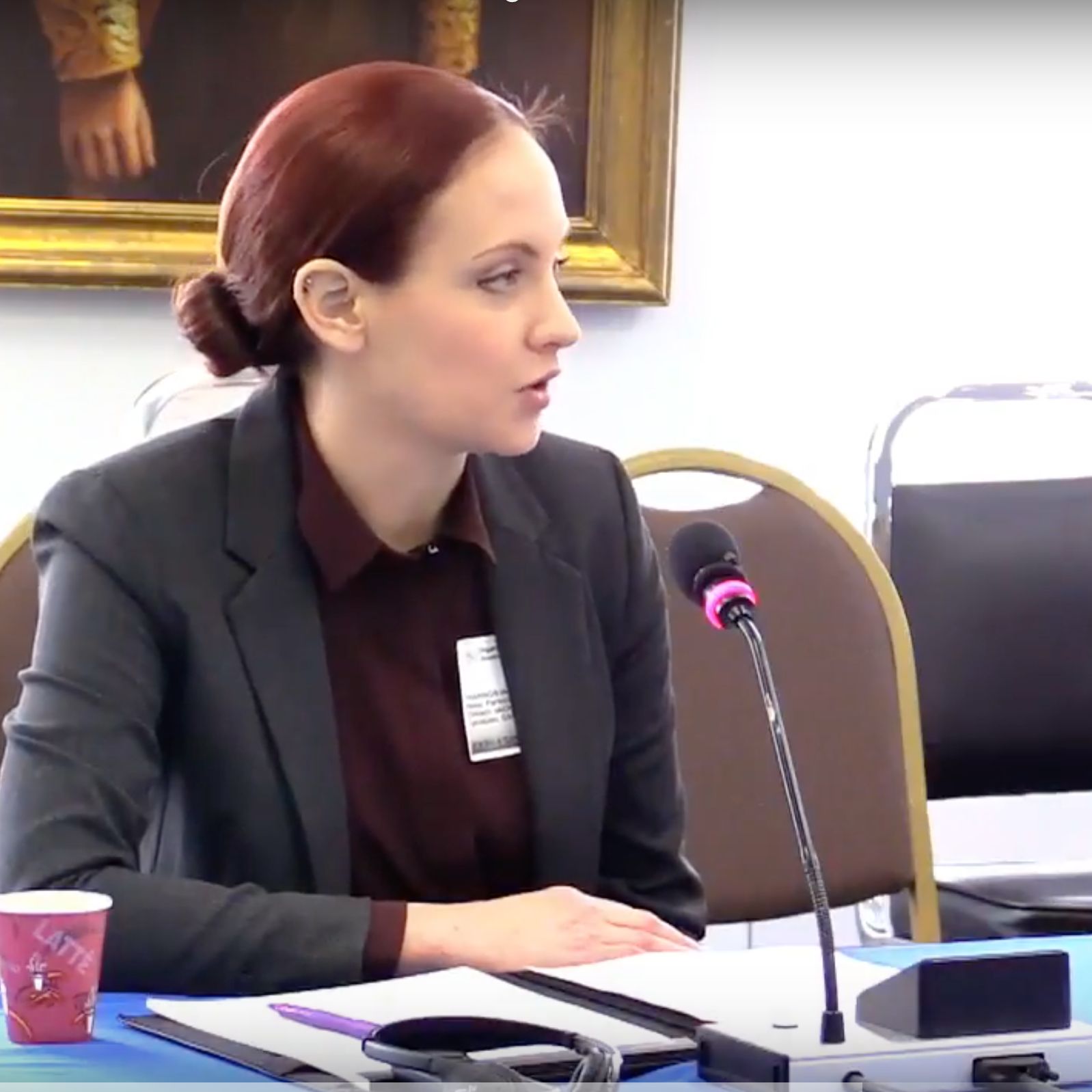 DropJ20 @ The Inter-American Commission on Human Rights