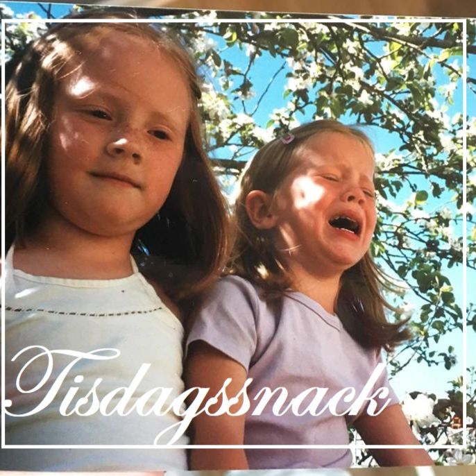 8. Hissar & dissar!