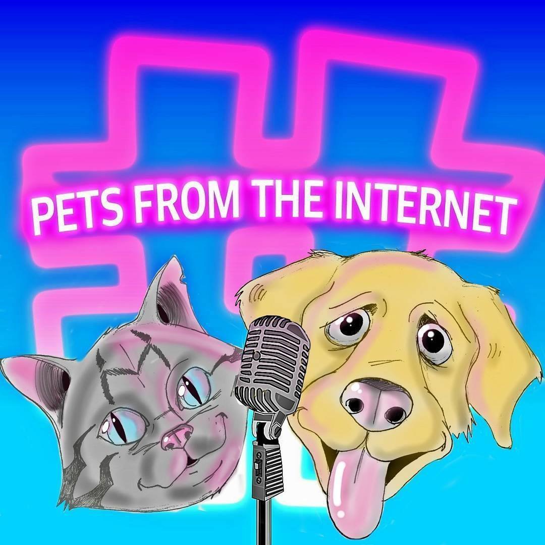 Episode 15: Dogs to follow in 2018