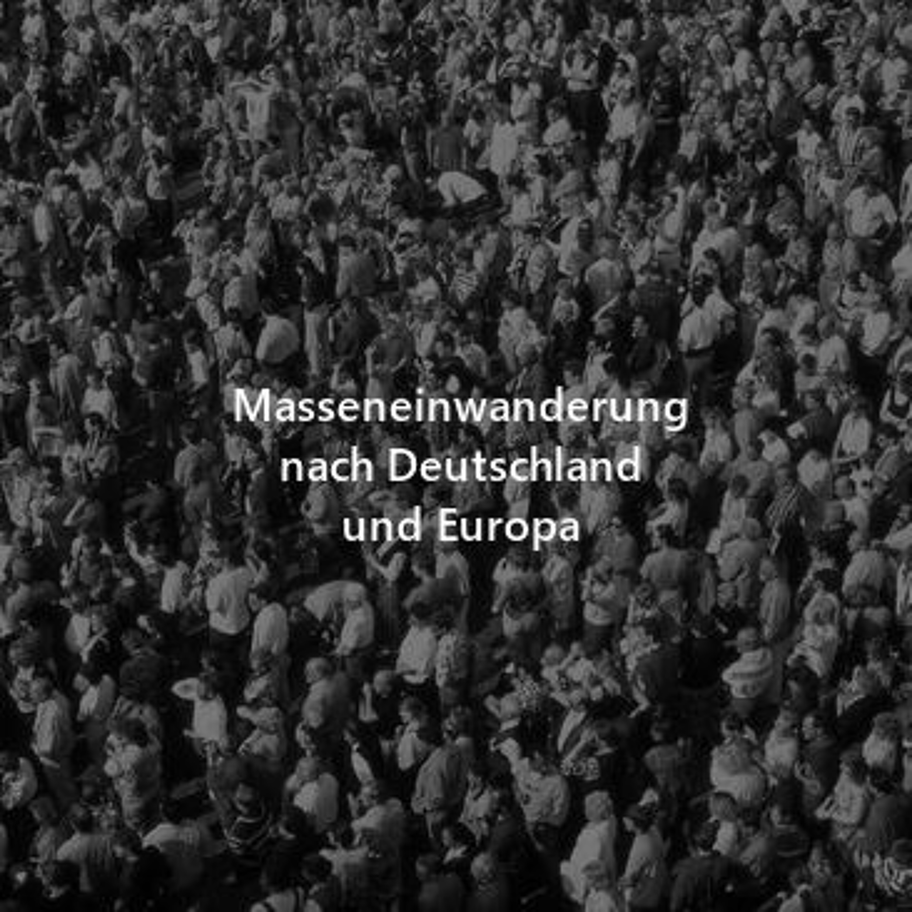 4 - Masseneinwanderung nach Deutschland u. Europa