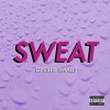 Lillie Small Vol 3 Sweat Mp3