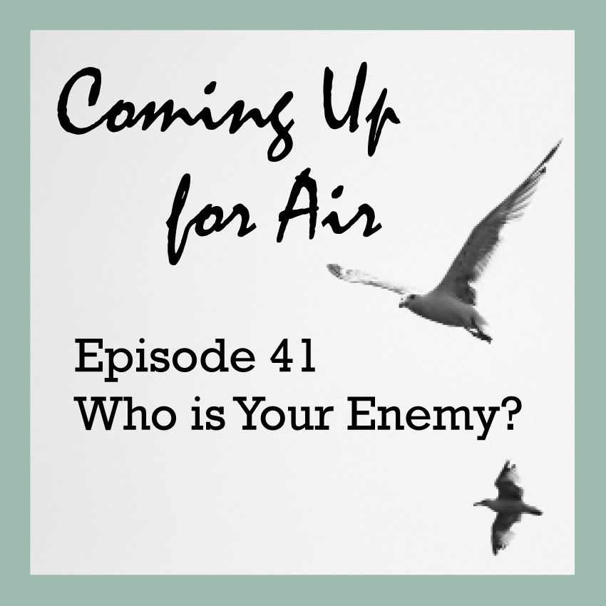 PODCAST #41 Who Is Your Enemy?