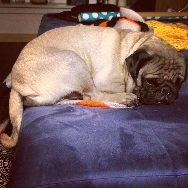 Episode 40: Master Click-Baiting