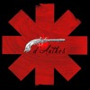 Can T Stop Red Hot Chili Peppers Cover Mp3