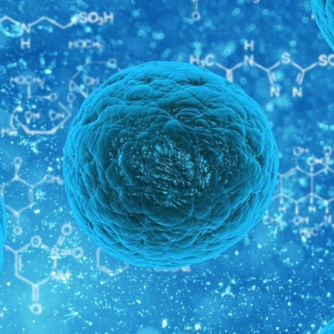 E01 | Sailors and Stem Cells | Professor Sir Ian Wilmut