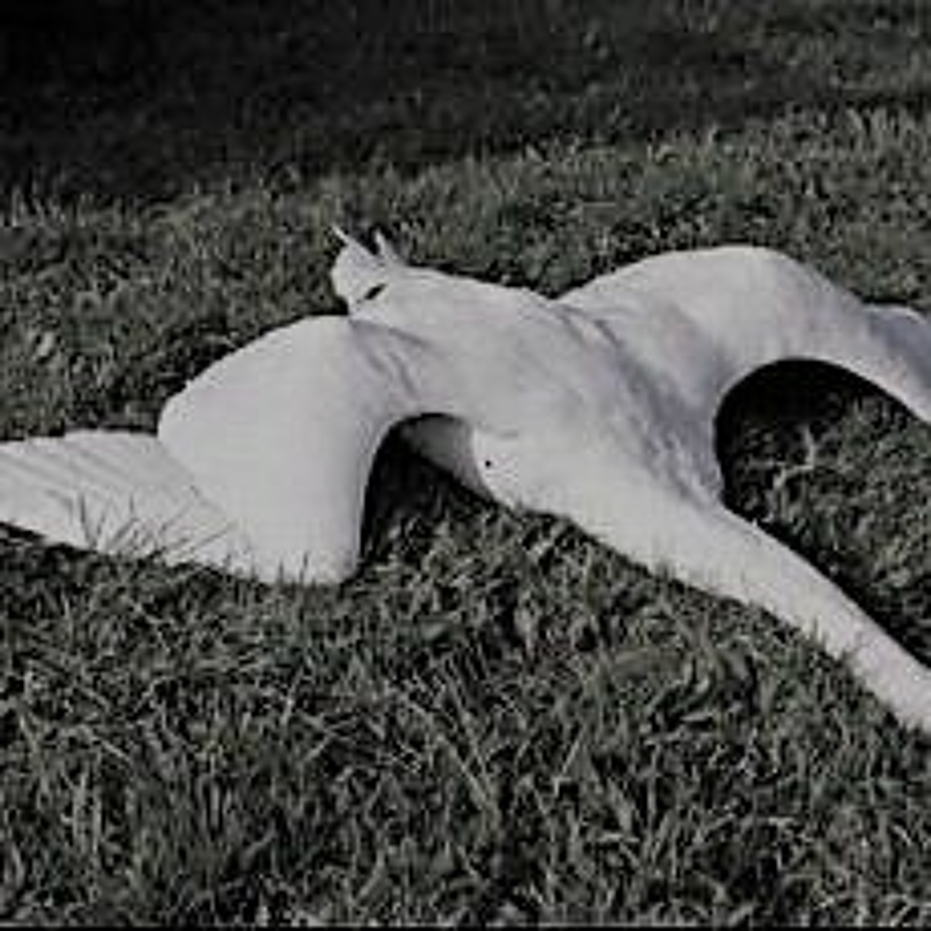 UITGELEZEN: ZKV (zeer korte verhalen)