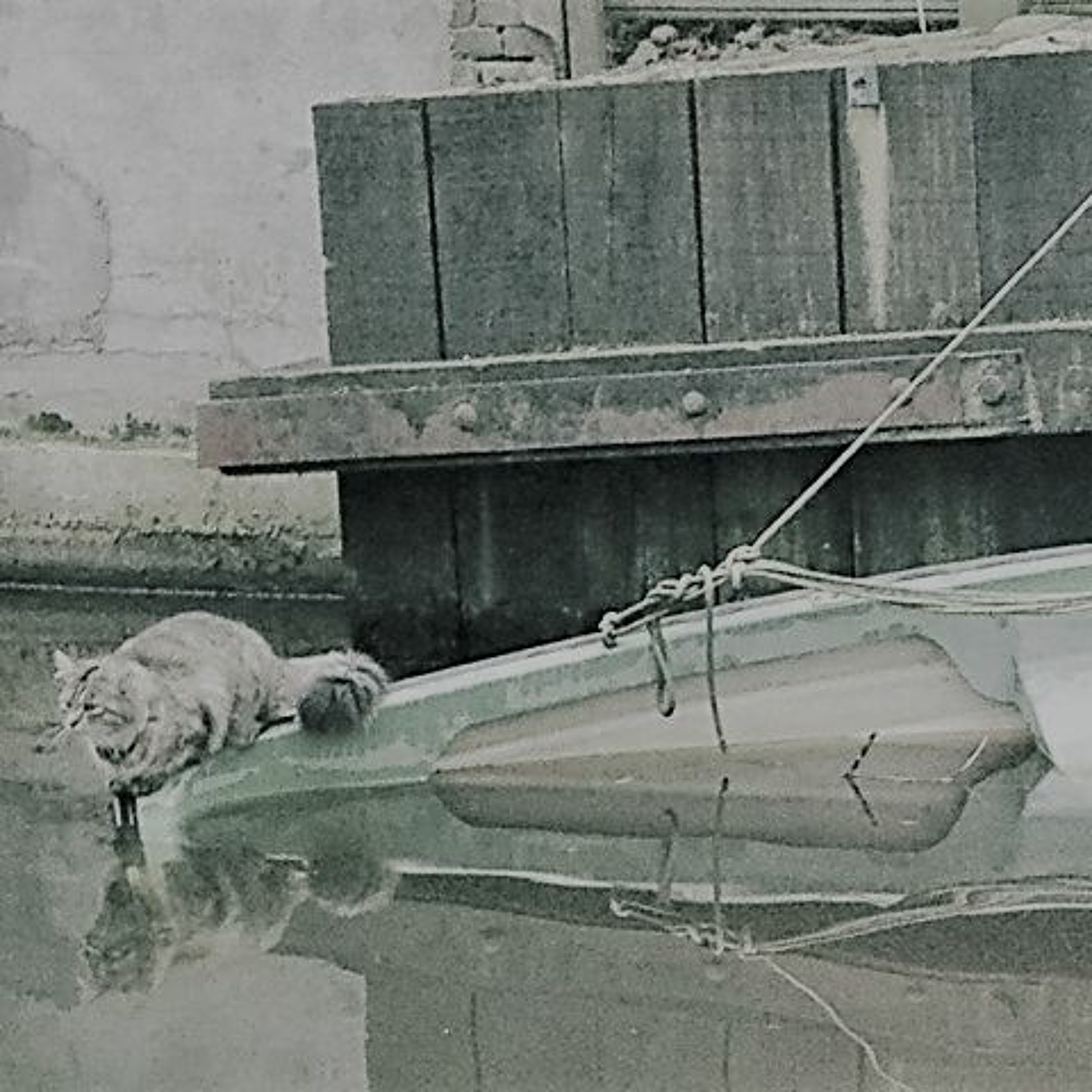 UITGELEZEN: ZKV (zeer korte verhalen)