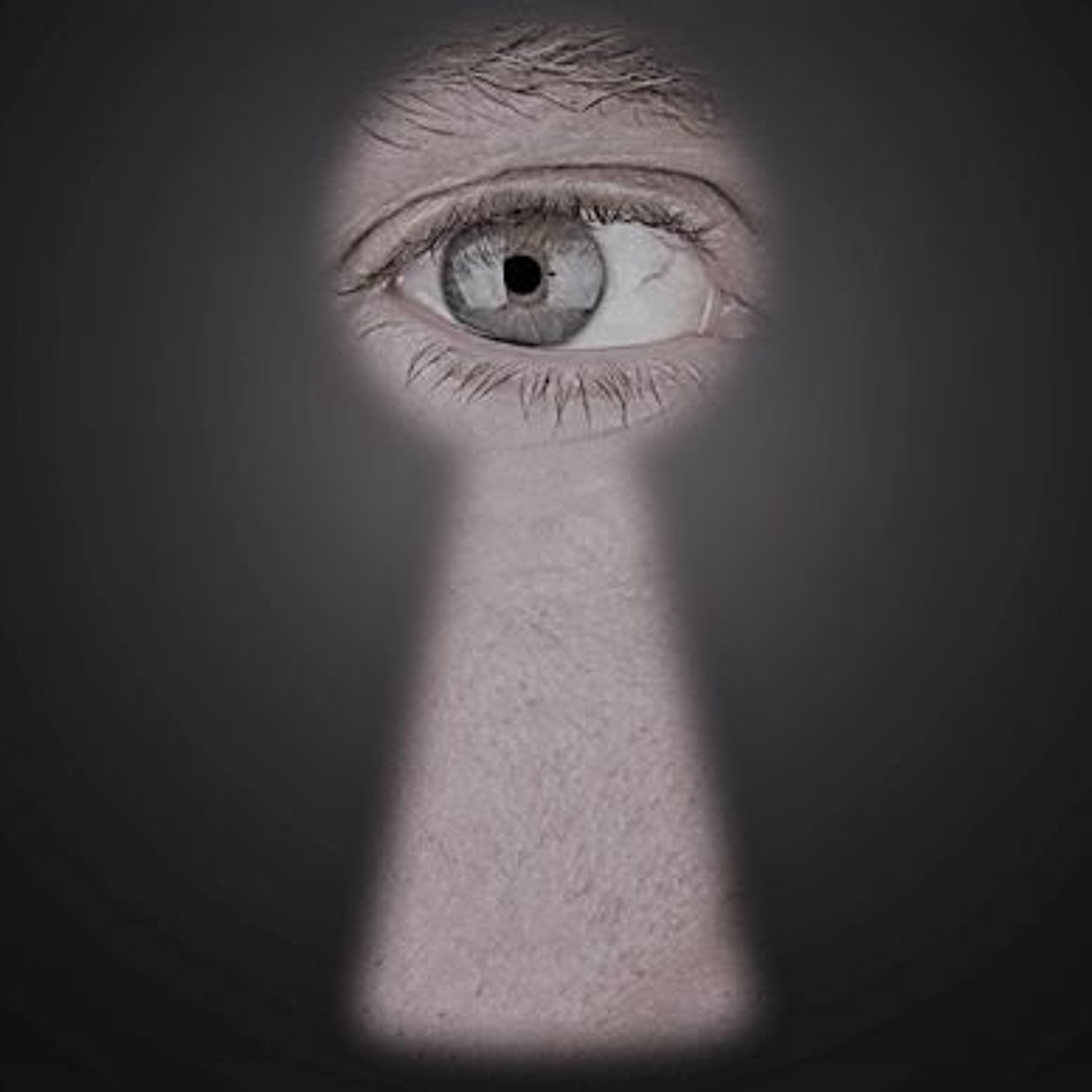 UITGELEZEN: ZKV (zeer korte verhalen)