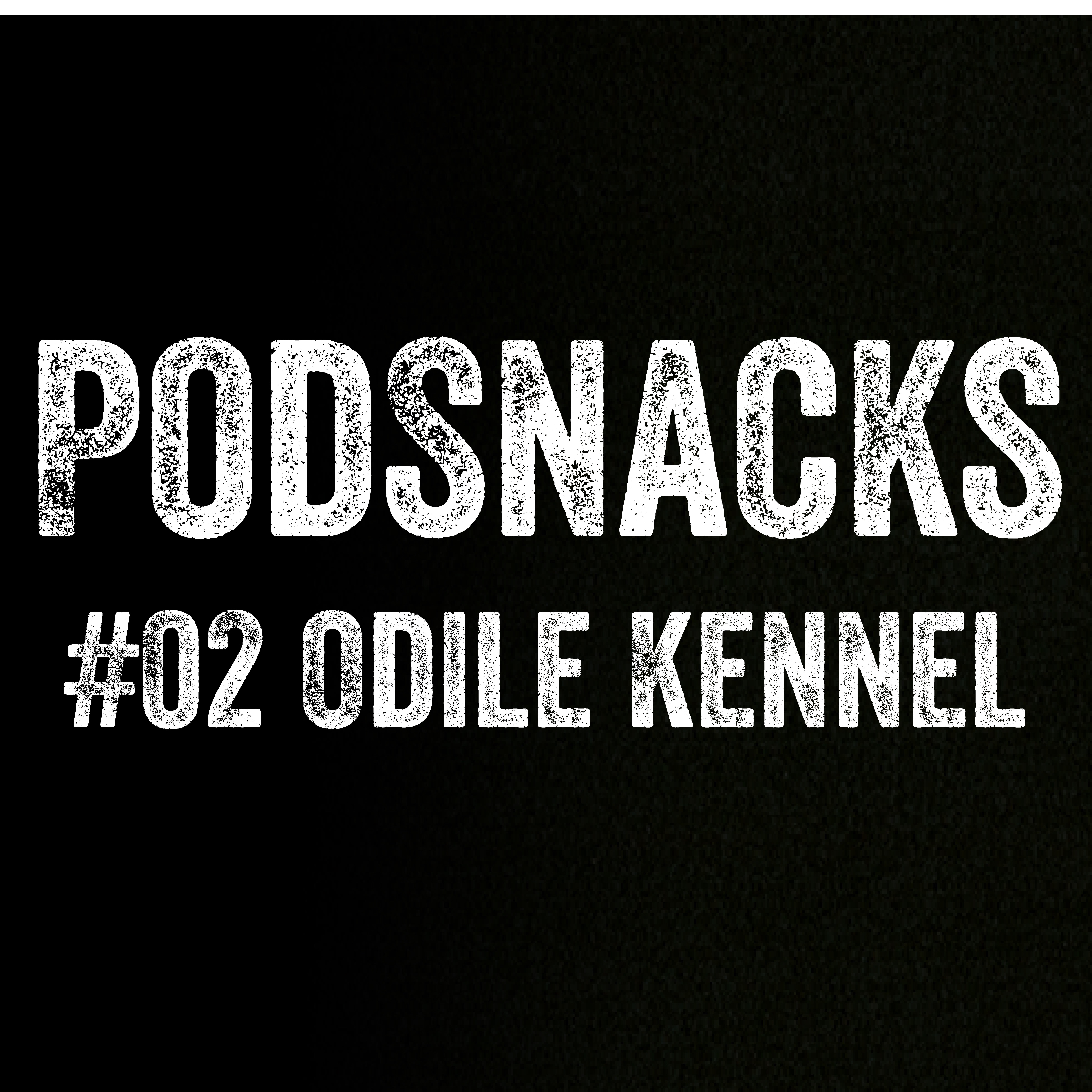 PodSnacks Episode 2: Jo Frank & Odile Kennel