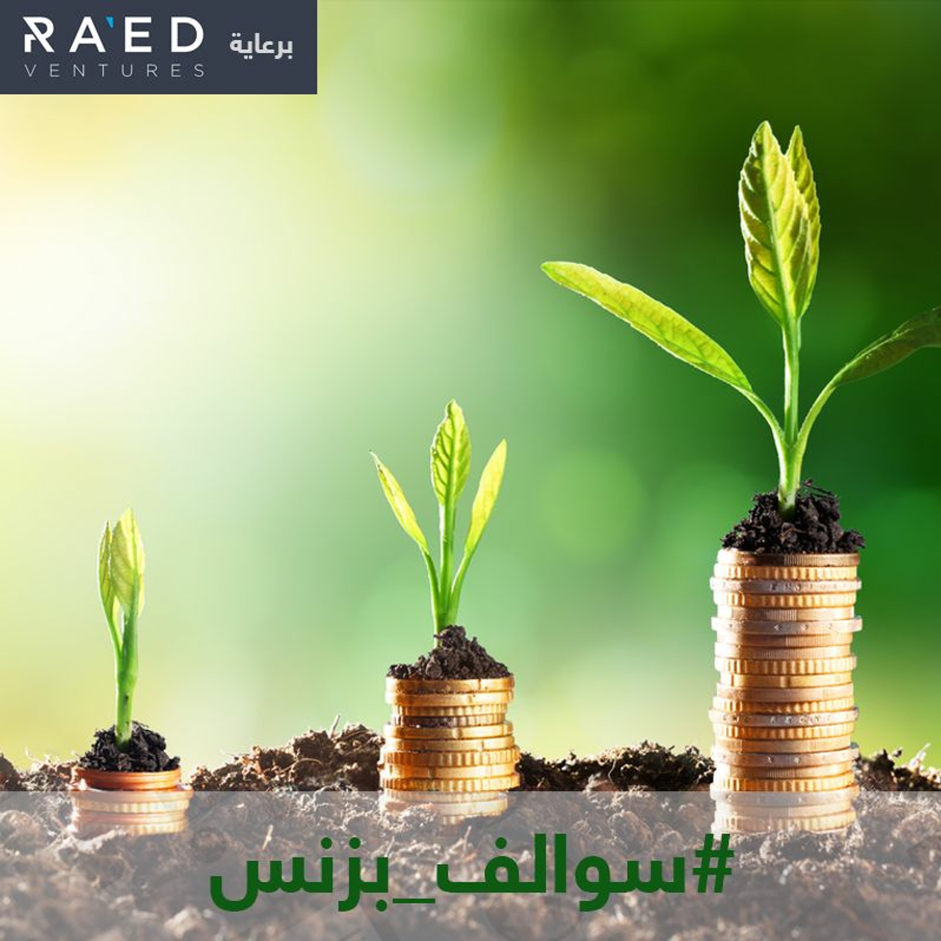 سالفة الاستثمار في المشاريع الناشئة