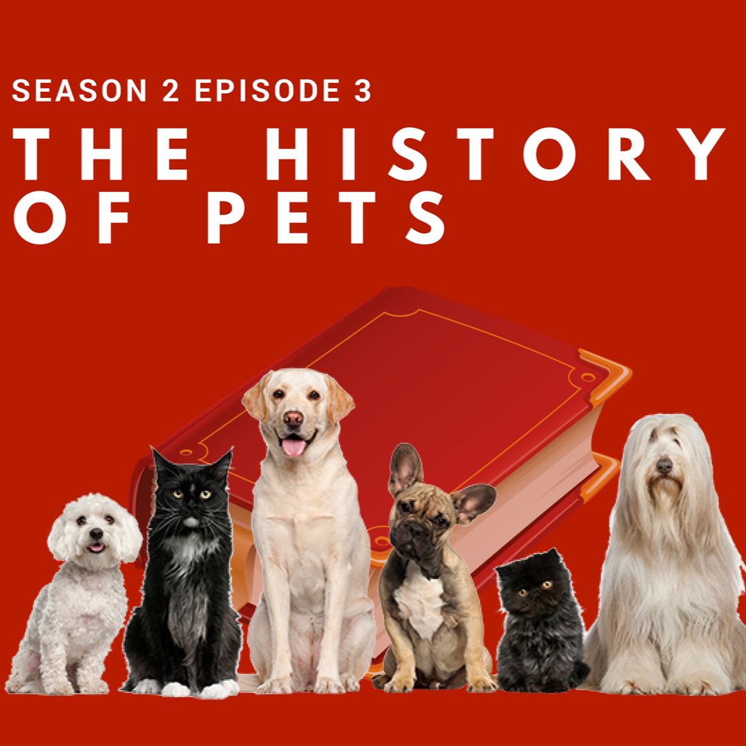 S2 E3 | The History of Pets