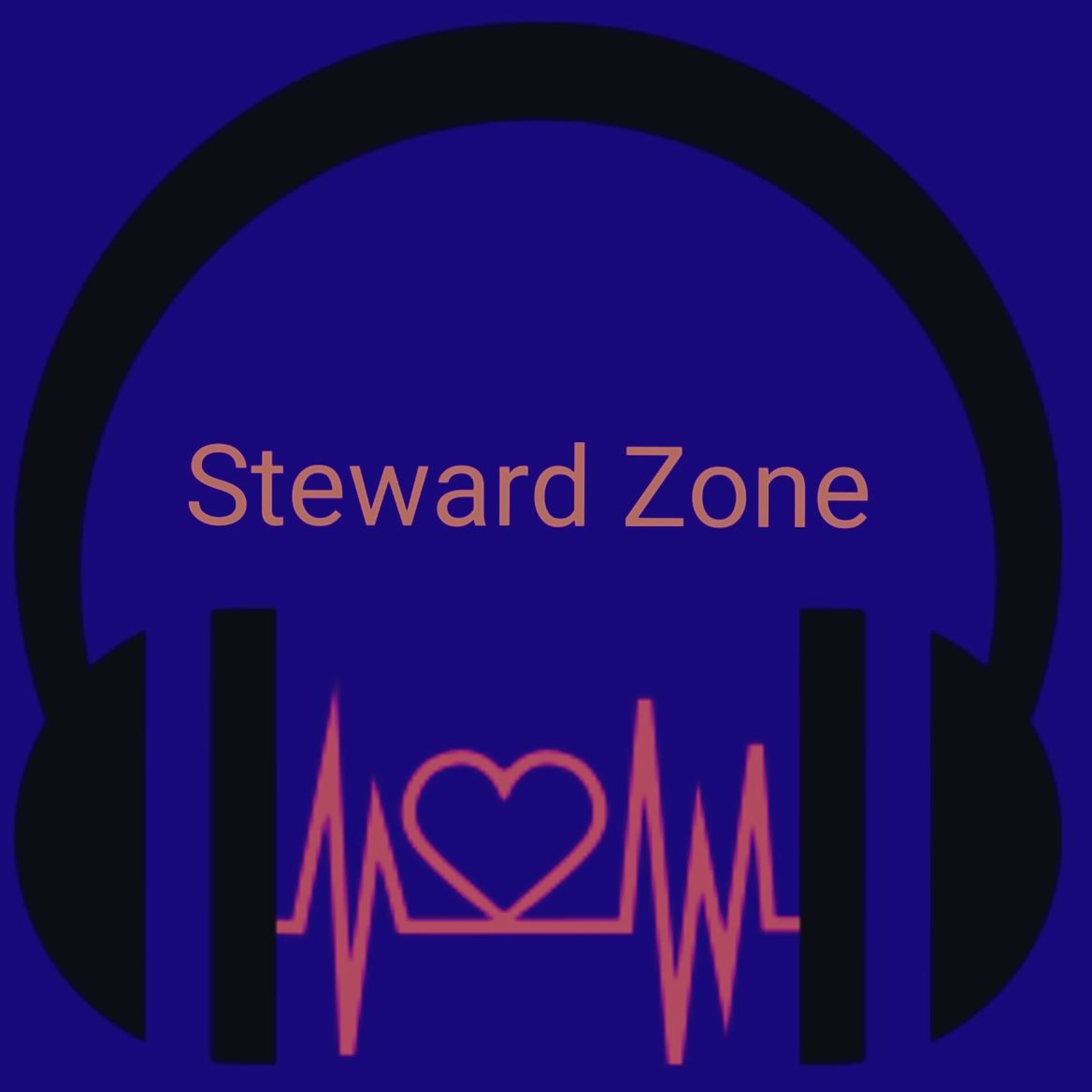 Steward Zone Episode 1