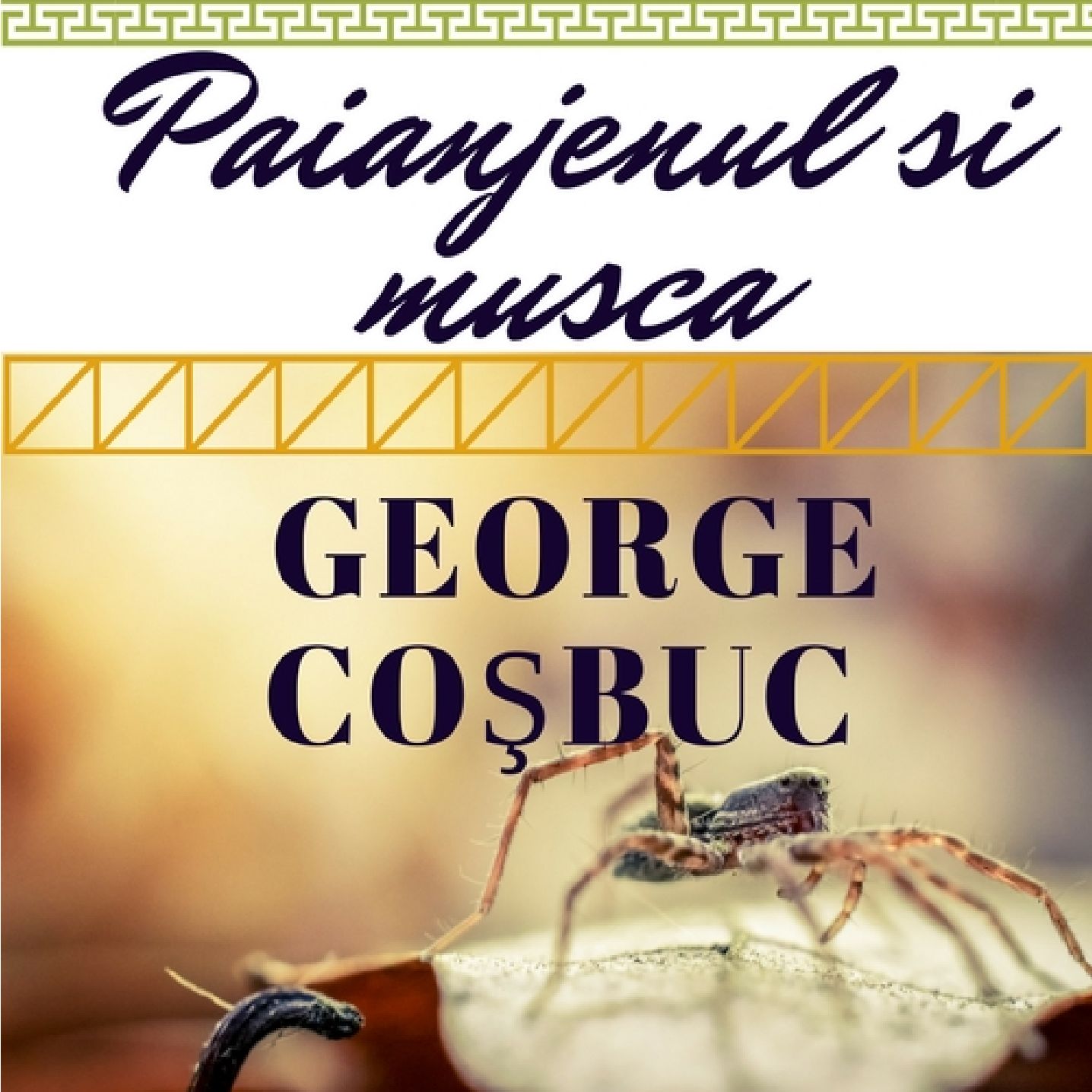 Paianjenul Si Musca - George Cosbuc - Schite de viata