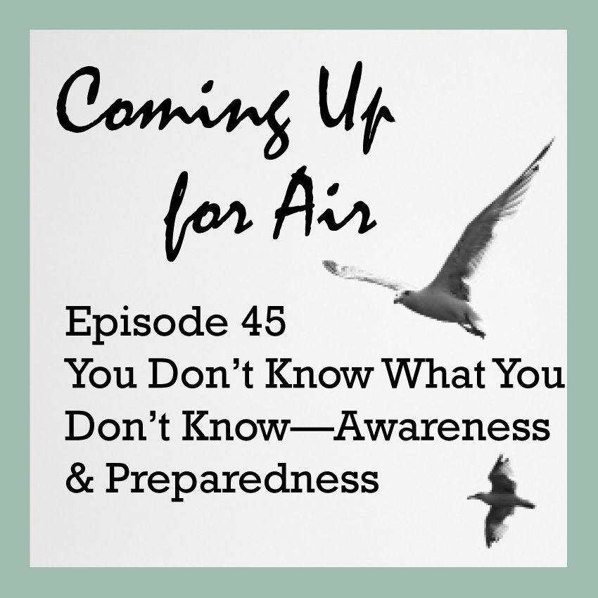 PODCAST #45 You Don't Know What You Don't Know—Awareness & Preparednes
