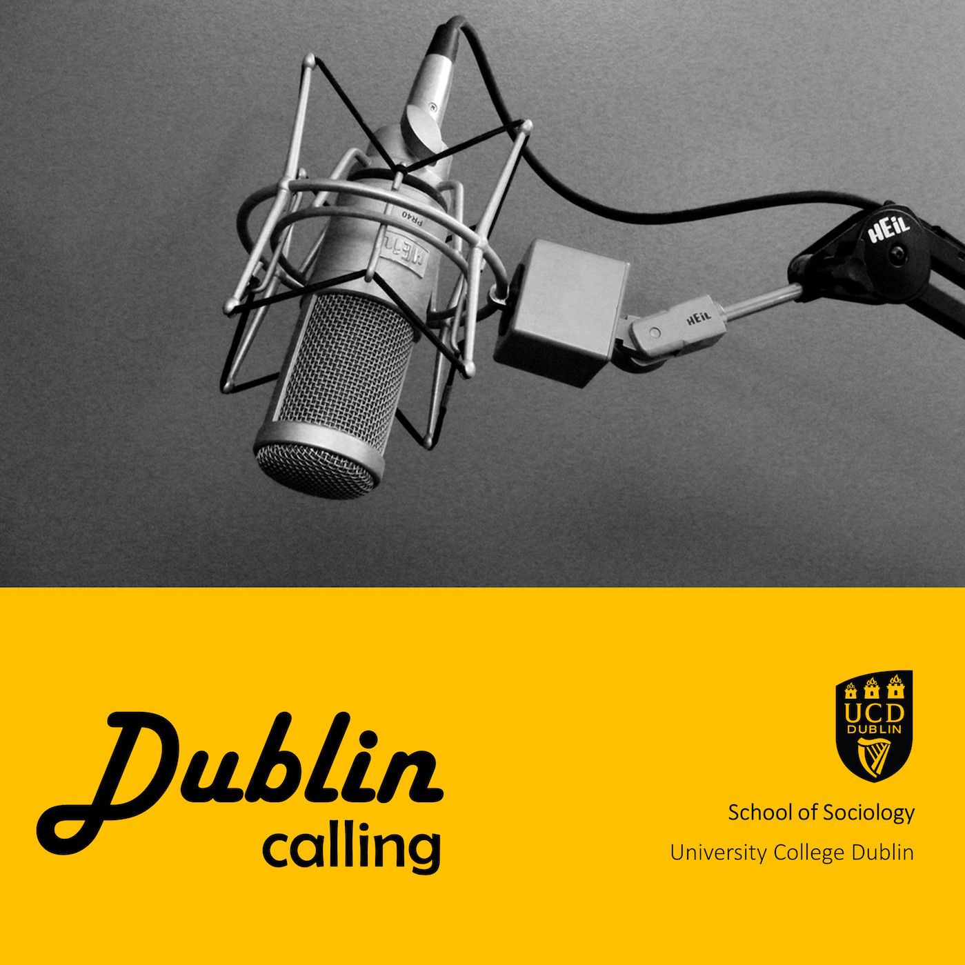 Dublin Calling 17 (Andreas Hess, UCD)