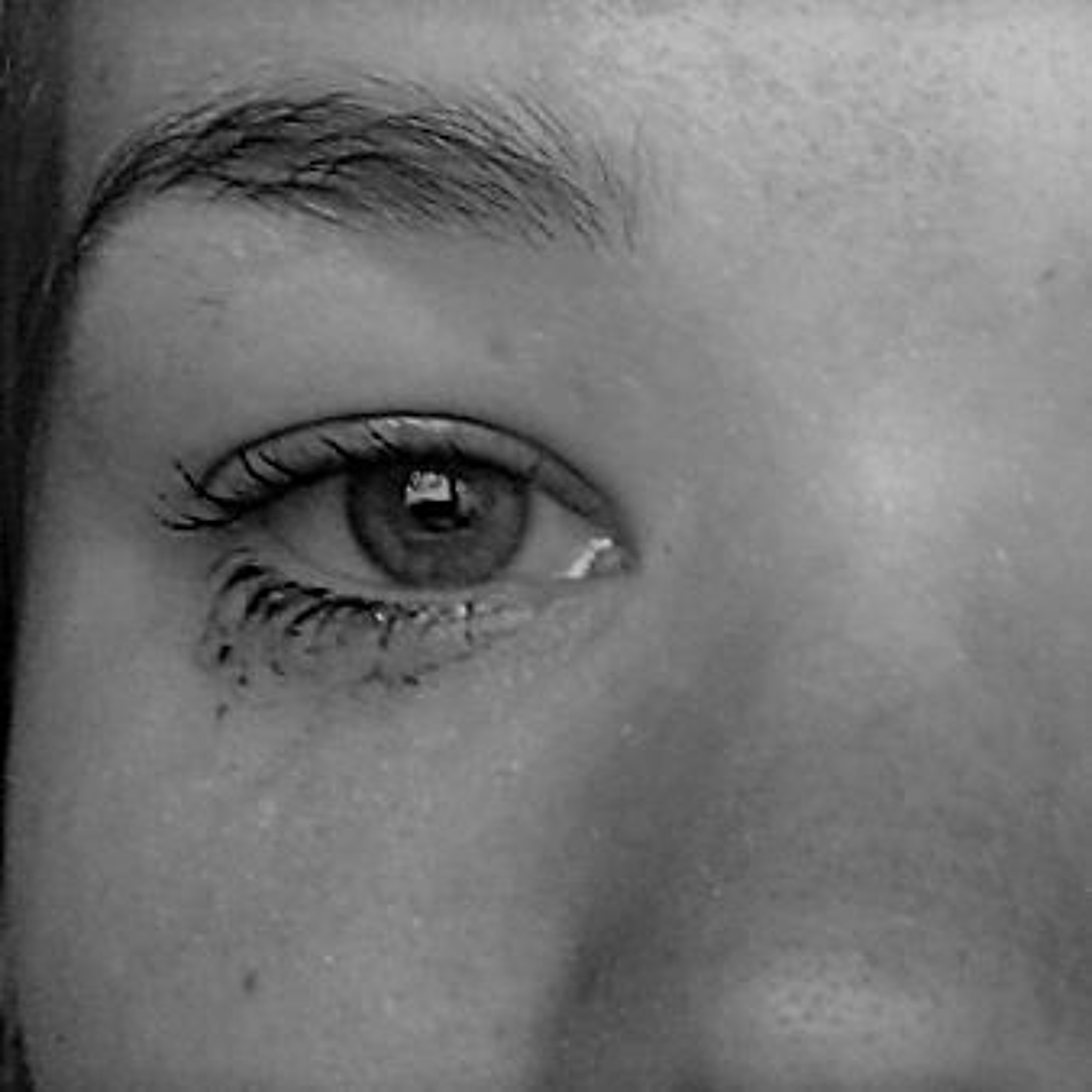 UITGELEZEN: ZKV (zeer korte verhalen)