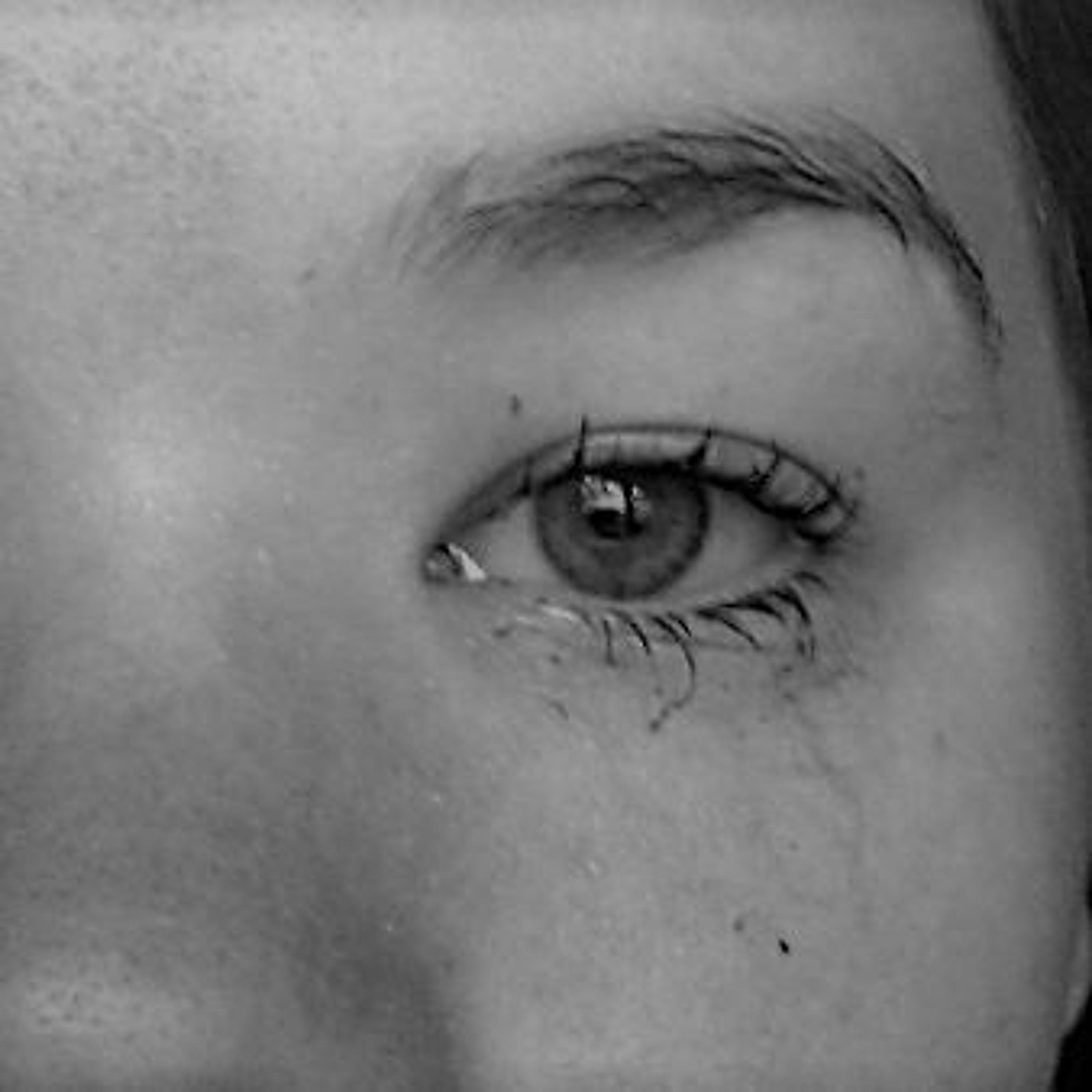 UITGELEZEN: ZKV (zeer korte verhalen)