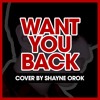5 Seconds Of Summer Want You Back Acoustic Cover By Shayne Orok Mp3