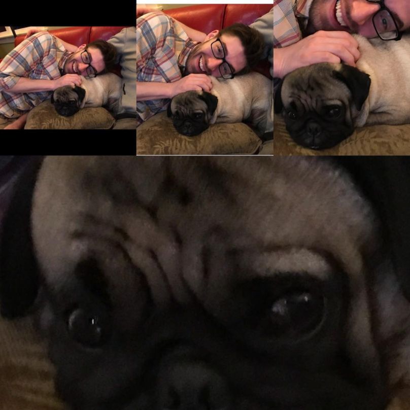 Episode 43: Le Judge