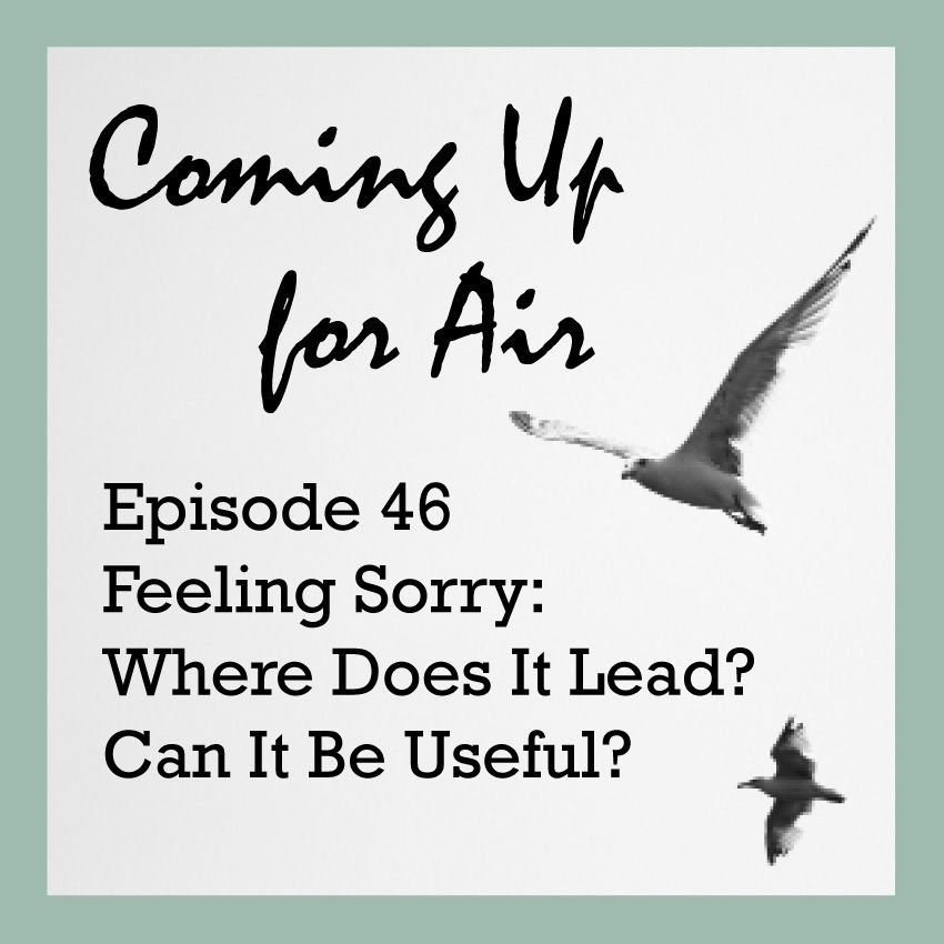 PODCAST #46 Feeling Sorry: Where Does It Lead? Can It Be Useful?