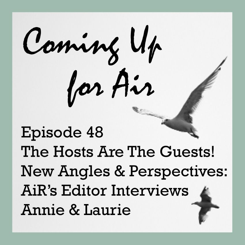 PODCAST #48 The Hosts Are The Guests! Allies in Recovery's Editor Interviews Annie & Laurie