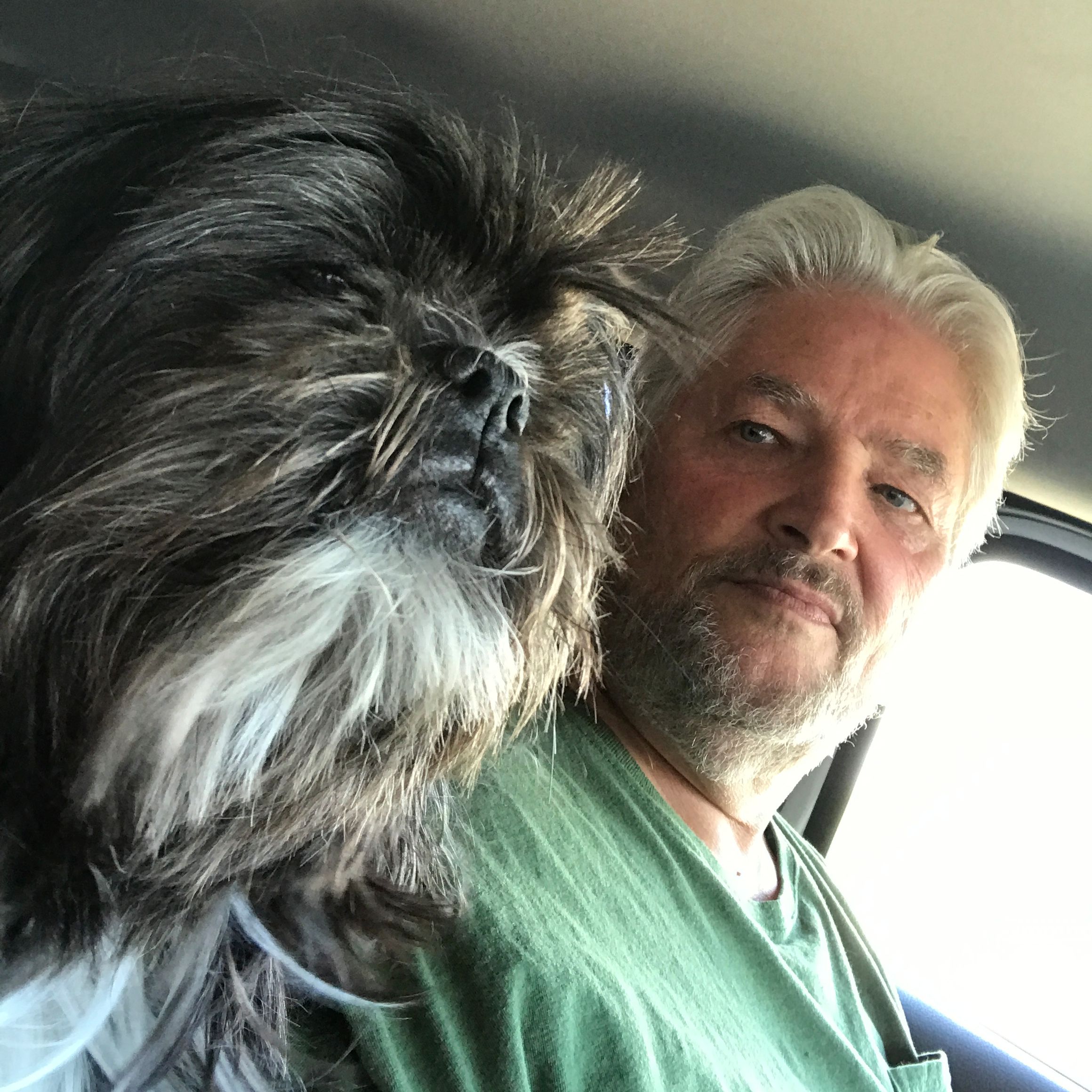 The mass murder and animal cruelty connection The mass murder and animal cruelty connection