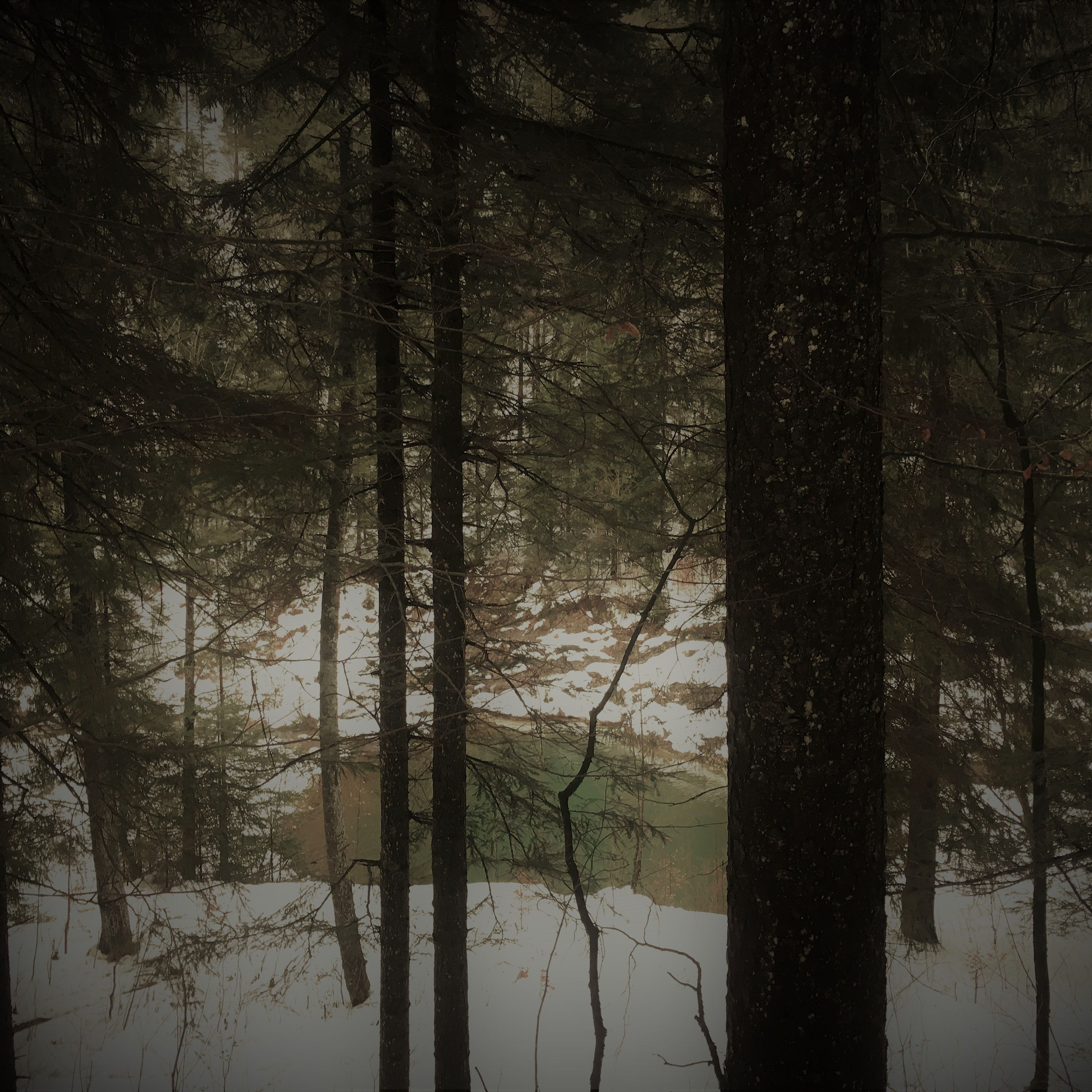 Techno Podcast Series 10 - The Lake