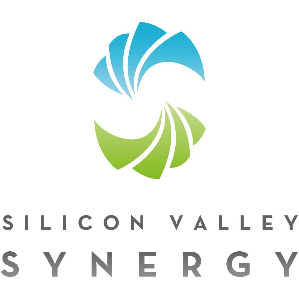 Silicon Valley Synergy Podcast Ep. 2