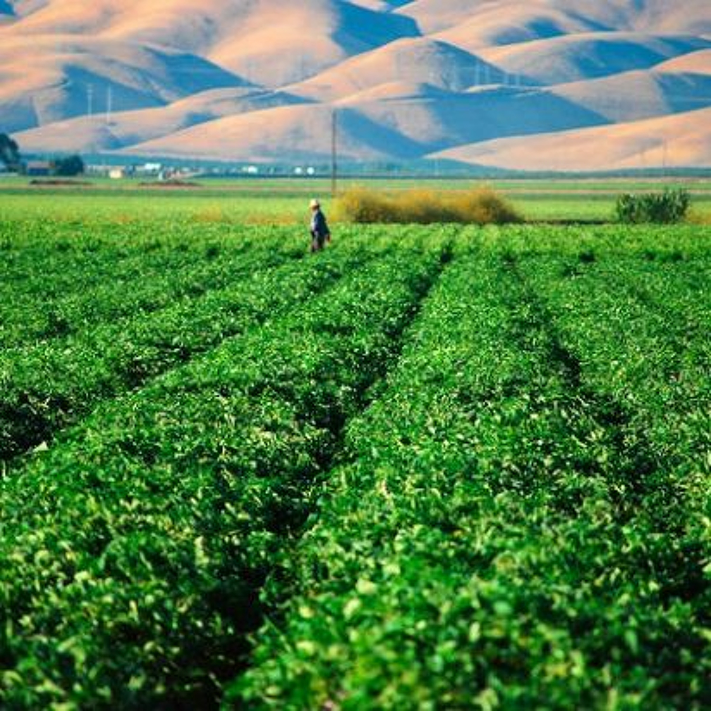 California Groundbreakers
