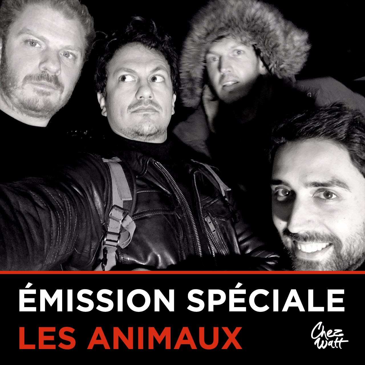 Émission spéciale // Les Animaux