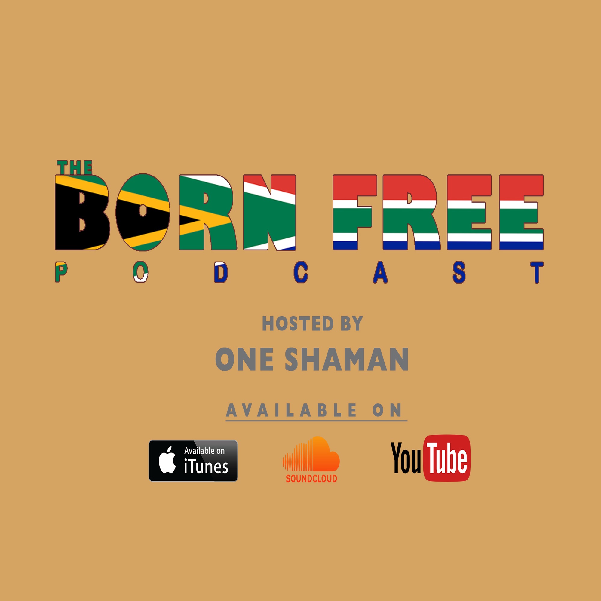 #046 50 Minutes Of Motivation w/ Hanyani Mangwani