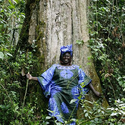 Episode 2: The Unforgotten History of Wangari Maathai