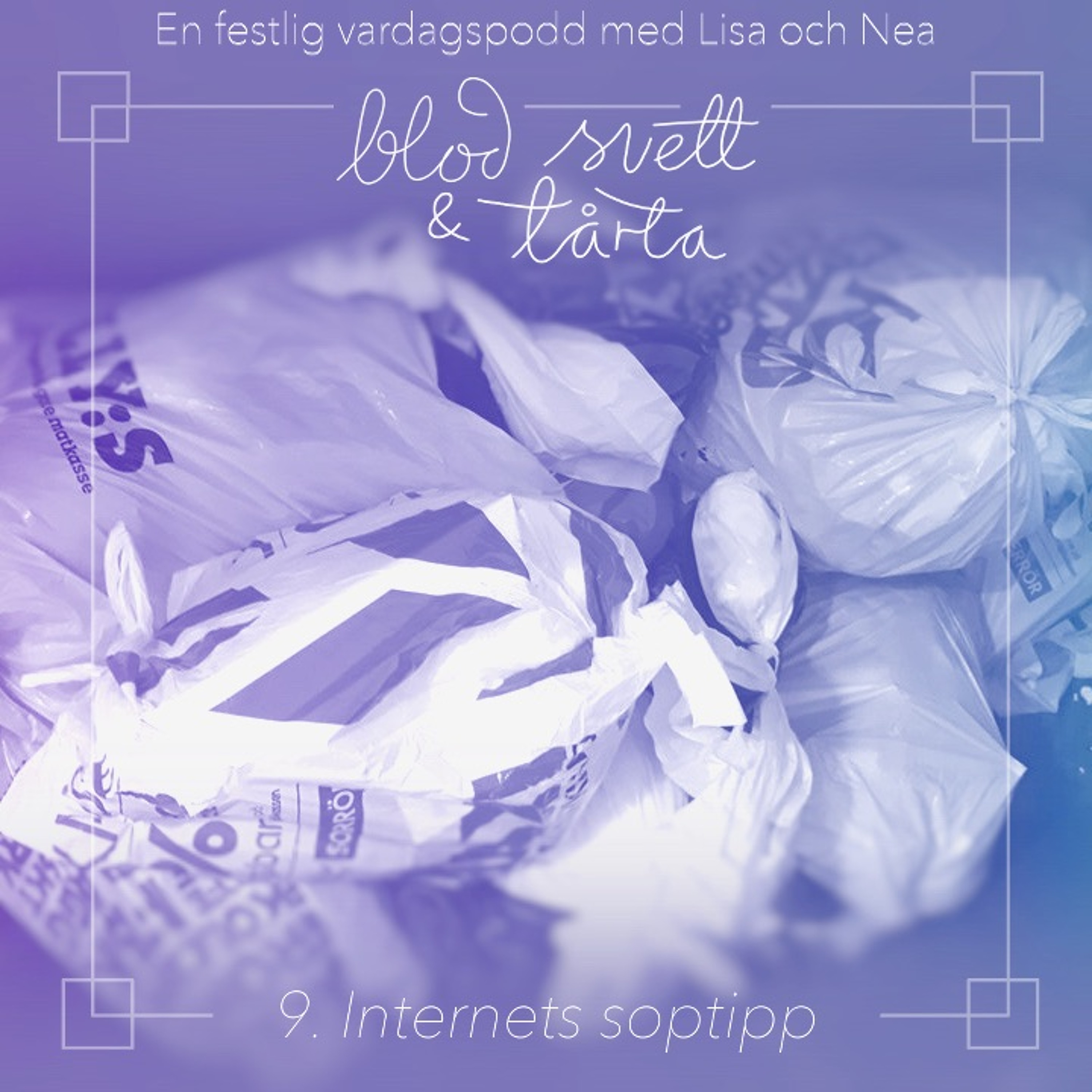 9. Internets soptipp