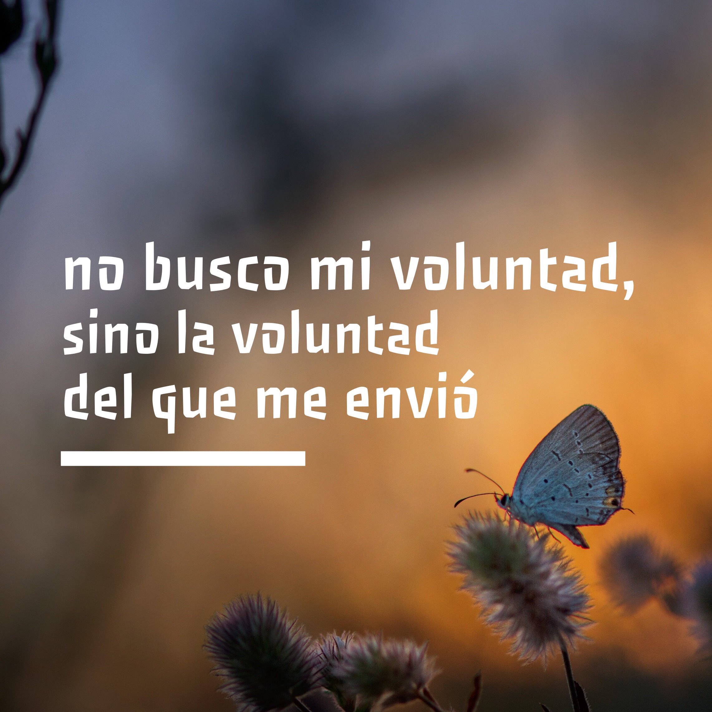 No busco mi voluntad, sino la del que me envió