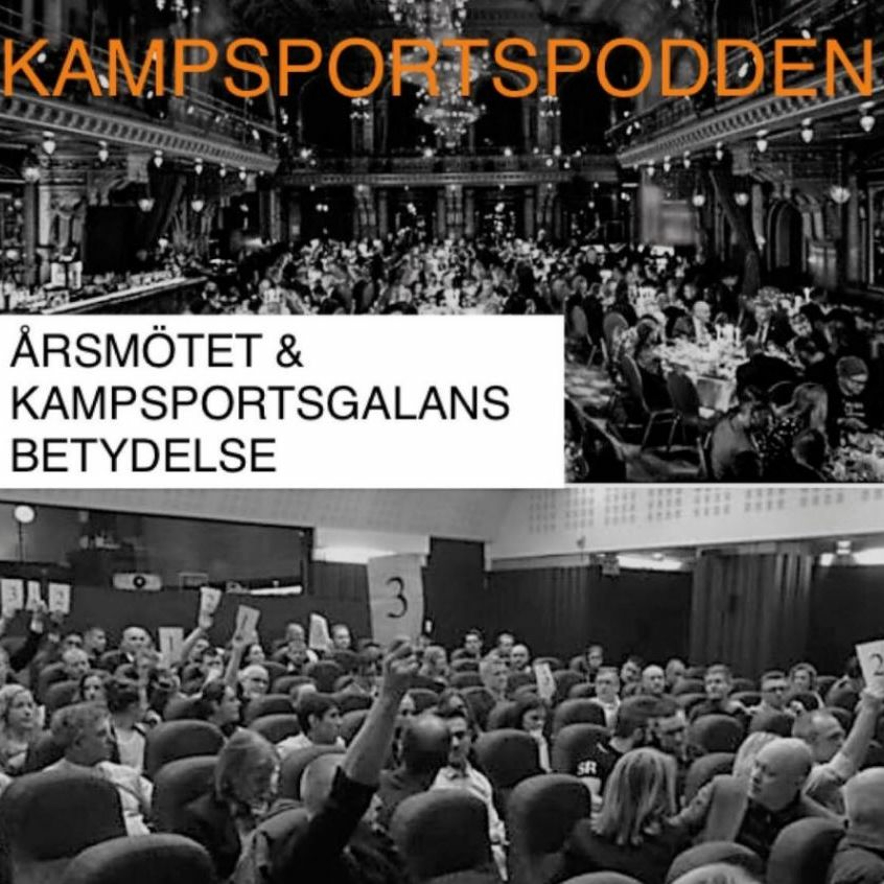 Kampsportspodden