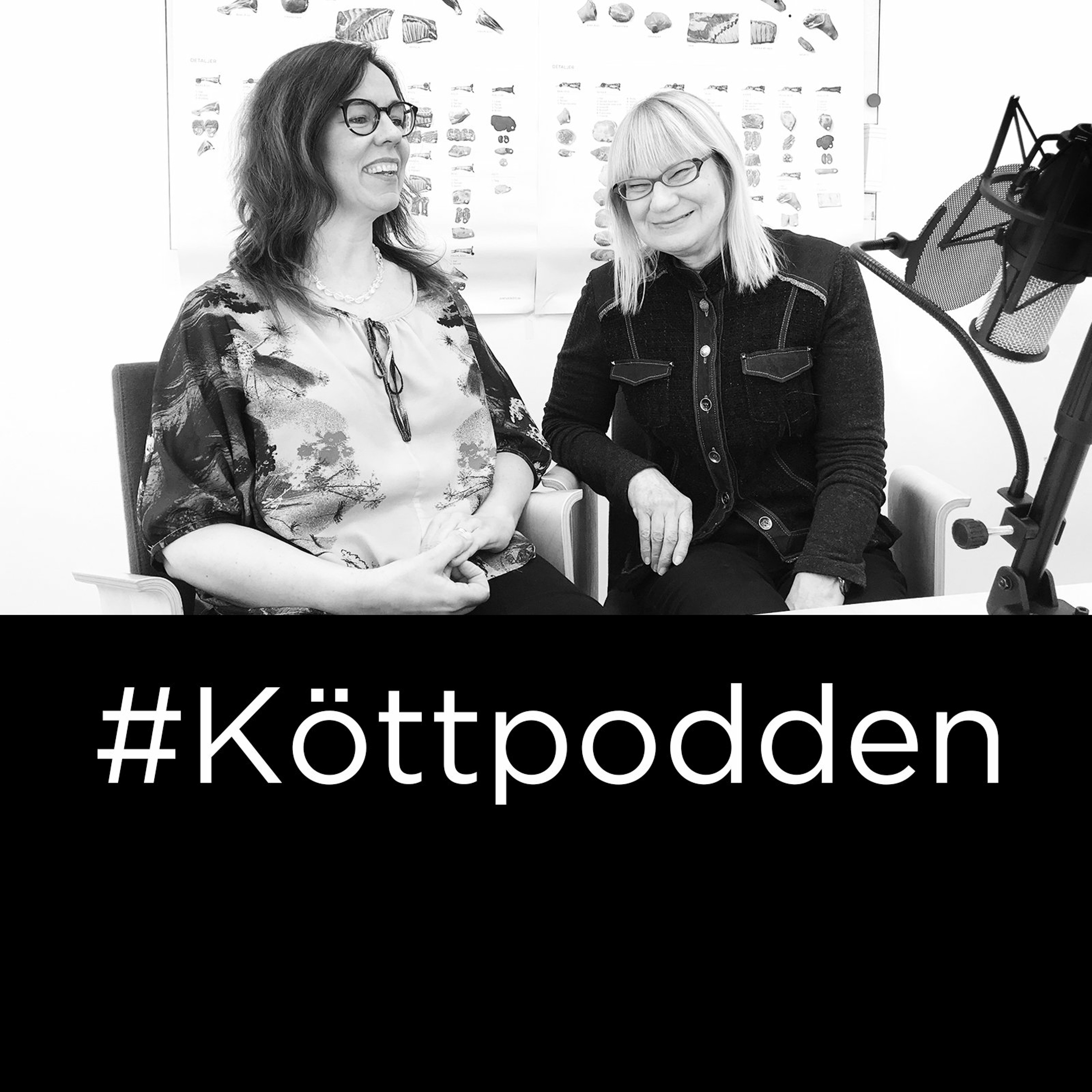 Köttpodden - Marie-Louise Danielsson-Tham