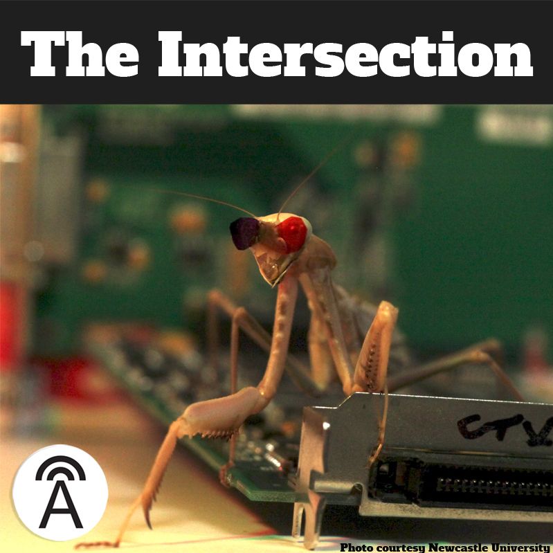 #54: What Insects Could Teach Humans (and Robots) About 3D Vision