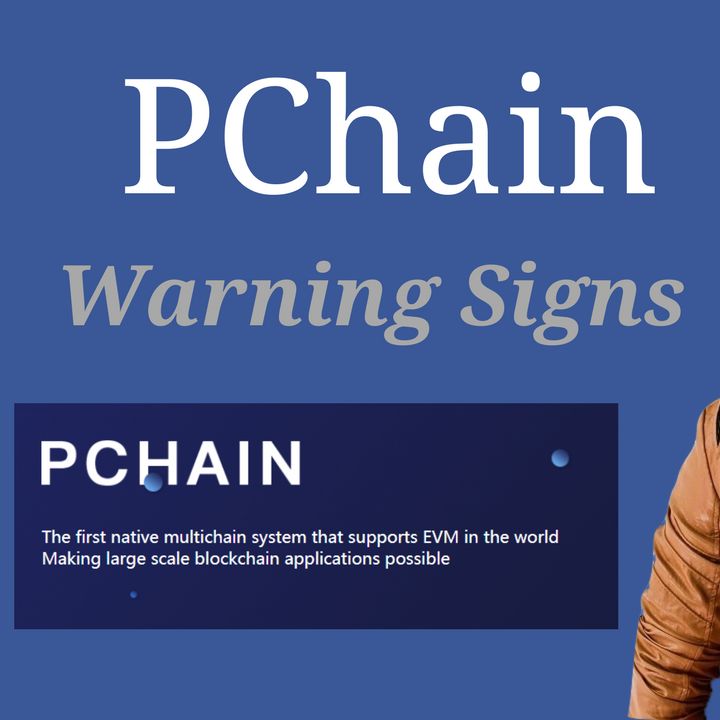 PChain ICO Review - Warning Signs