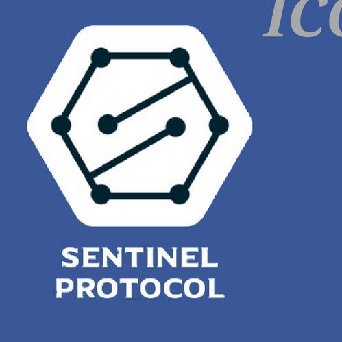 Sentinel Protocol - ICO Review