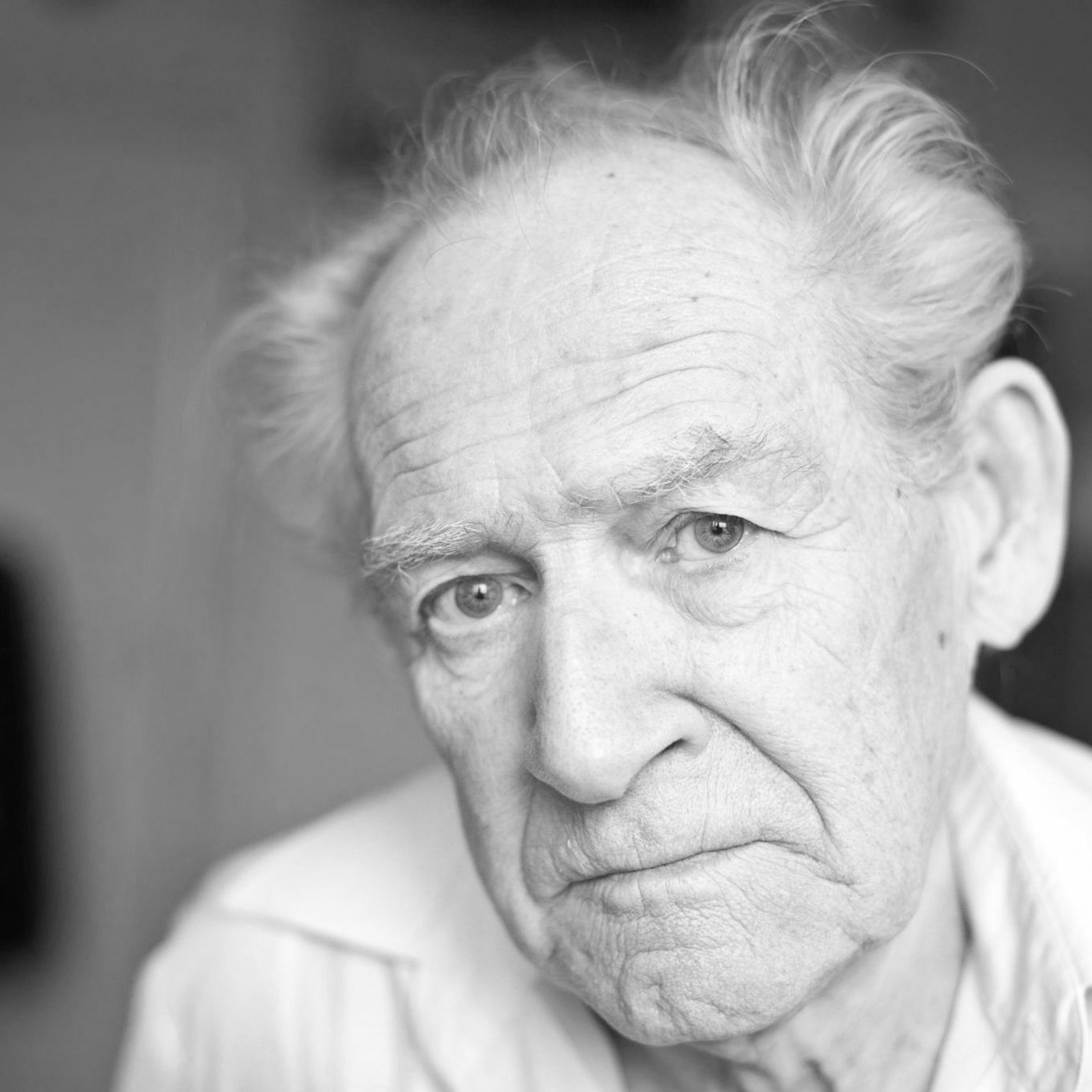 UITGELEZEN: ZKV (zeer korte verhalen)