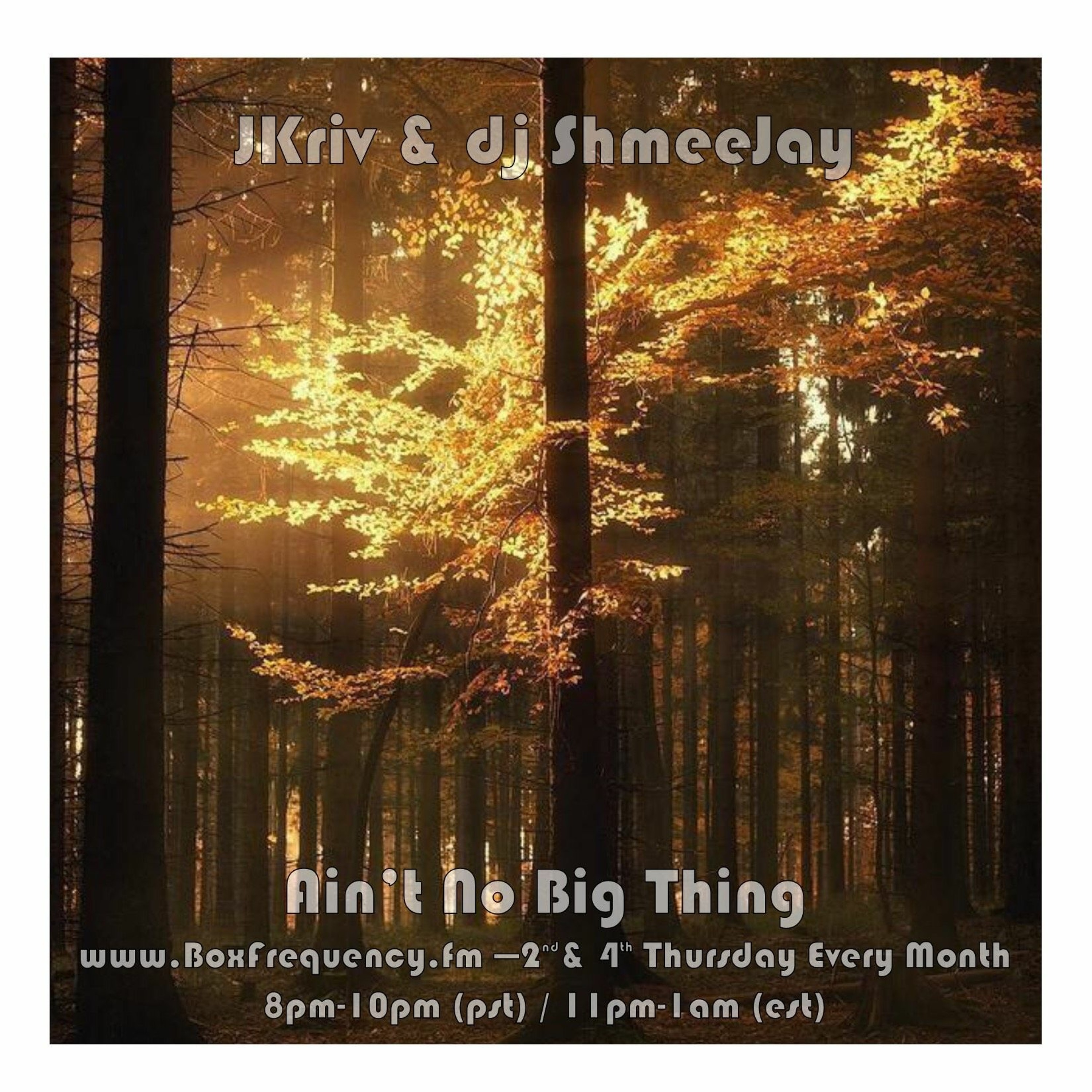 Ain\'t No Big Thing Radio Show