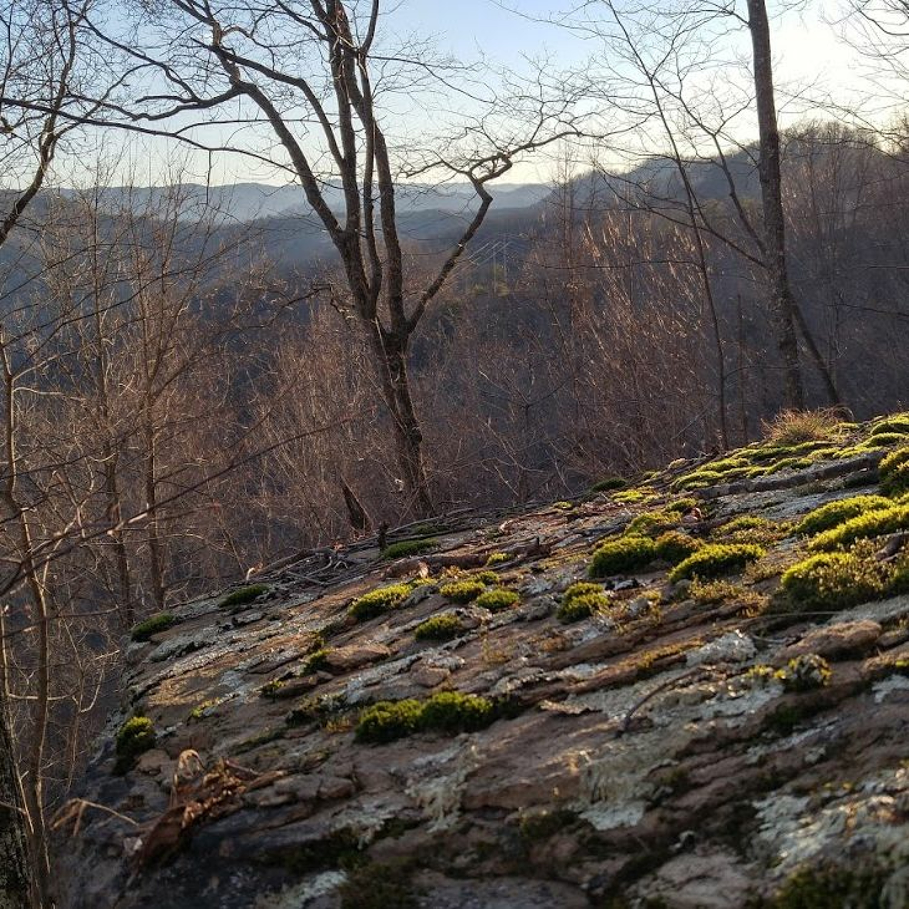 Mountain News & World Report