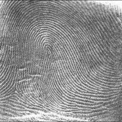 5 top criminal justice misconceptions 5 top criminal justice misconceptions
