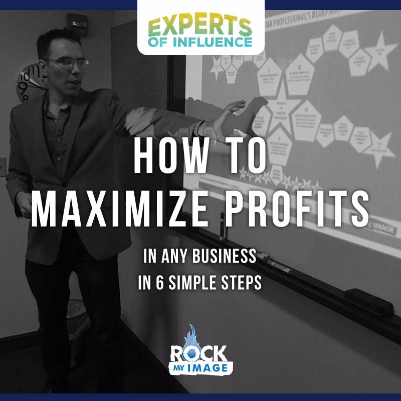 How To Maximize Profits In Any Business In 6 Simple Steps