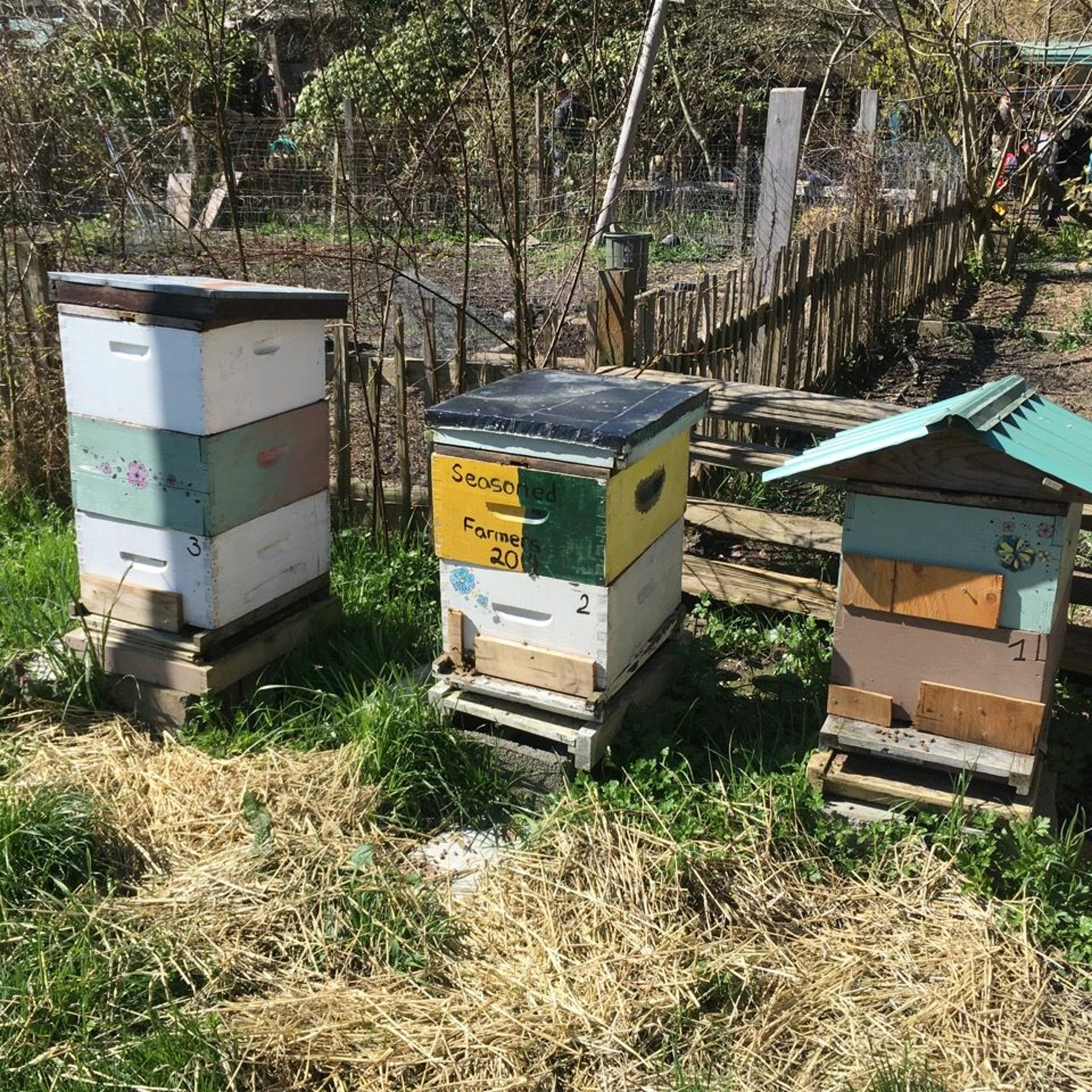 Episode 2 - Beekeeping